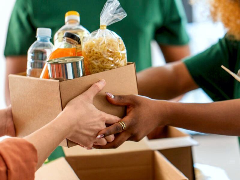 Rising Phoenix Fondation Services 800 x 600 - jpeg 01