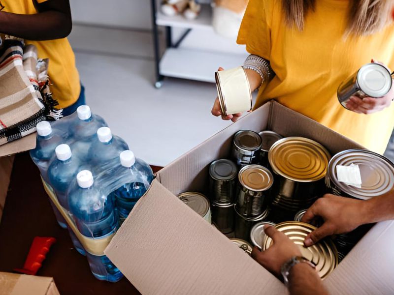 Rising Phoenix Fondation Who We Are 800 x 600 - jpeg 01